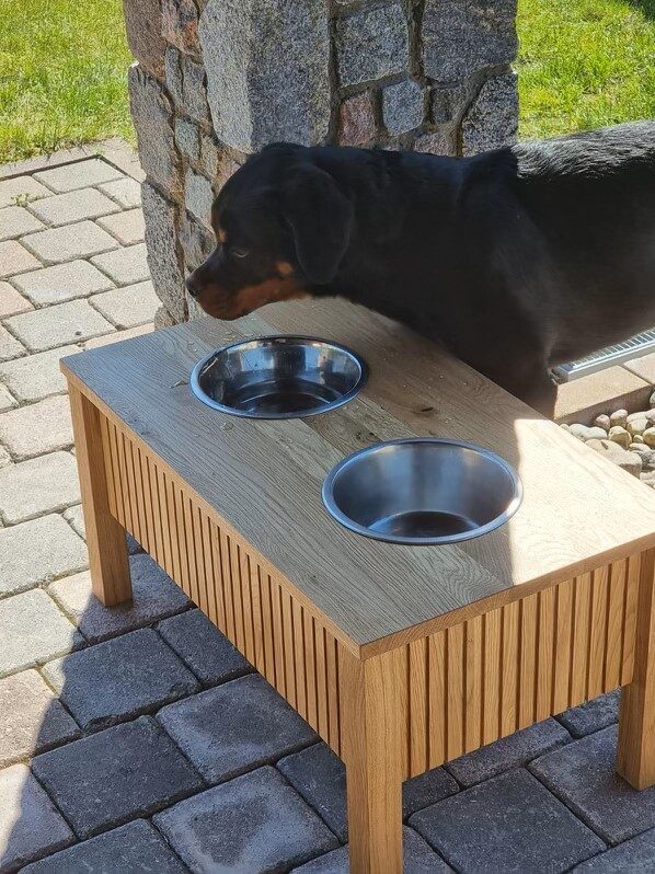 Lielais galds suņiem - DogeeBox
