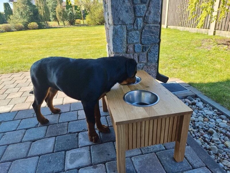 Lielais galds suņiem - DogeeBox
